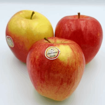 Manzana ambrosia