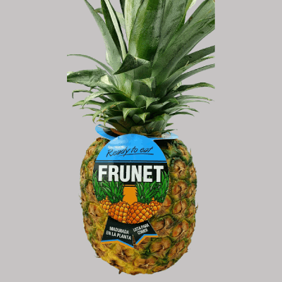 Piña